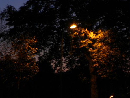 Photo 1 - Promenades 