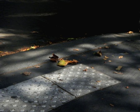 Photo 5 - Promenades